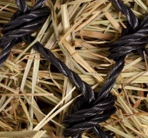 Symbolbild für Netzwerk